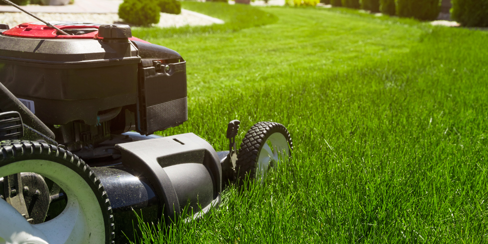 Quale tosaerba fa al caso mio?