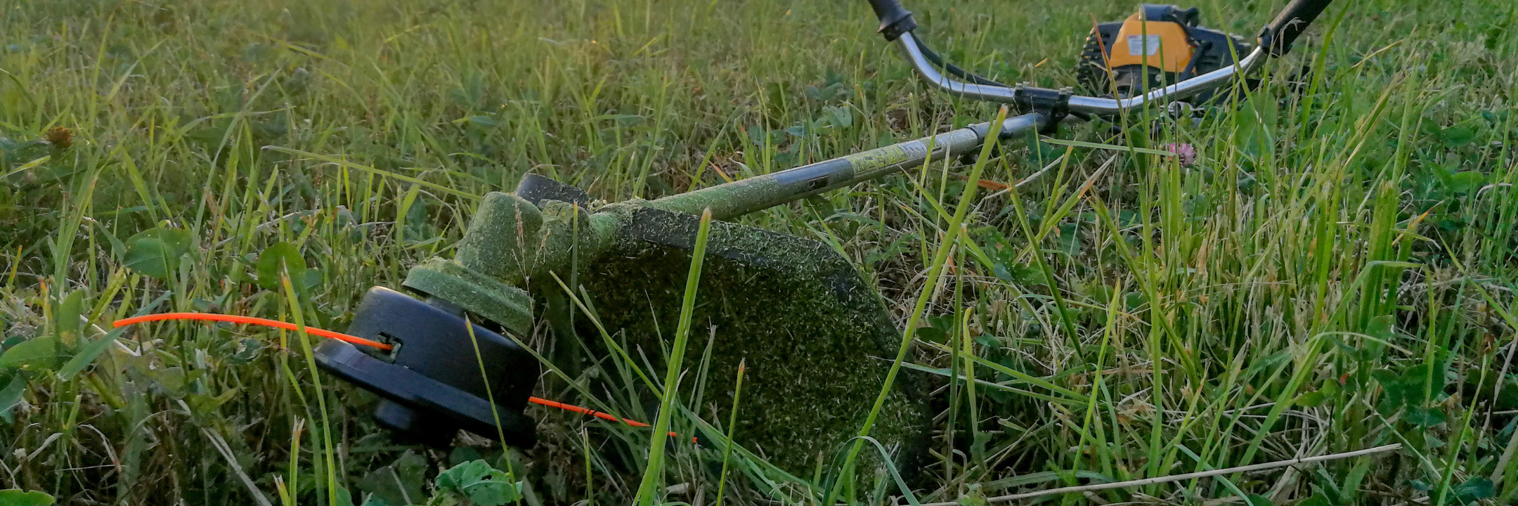 DECESPUGLIATORI CLASSICI