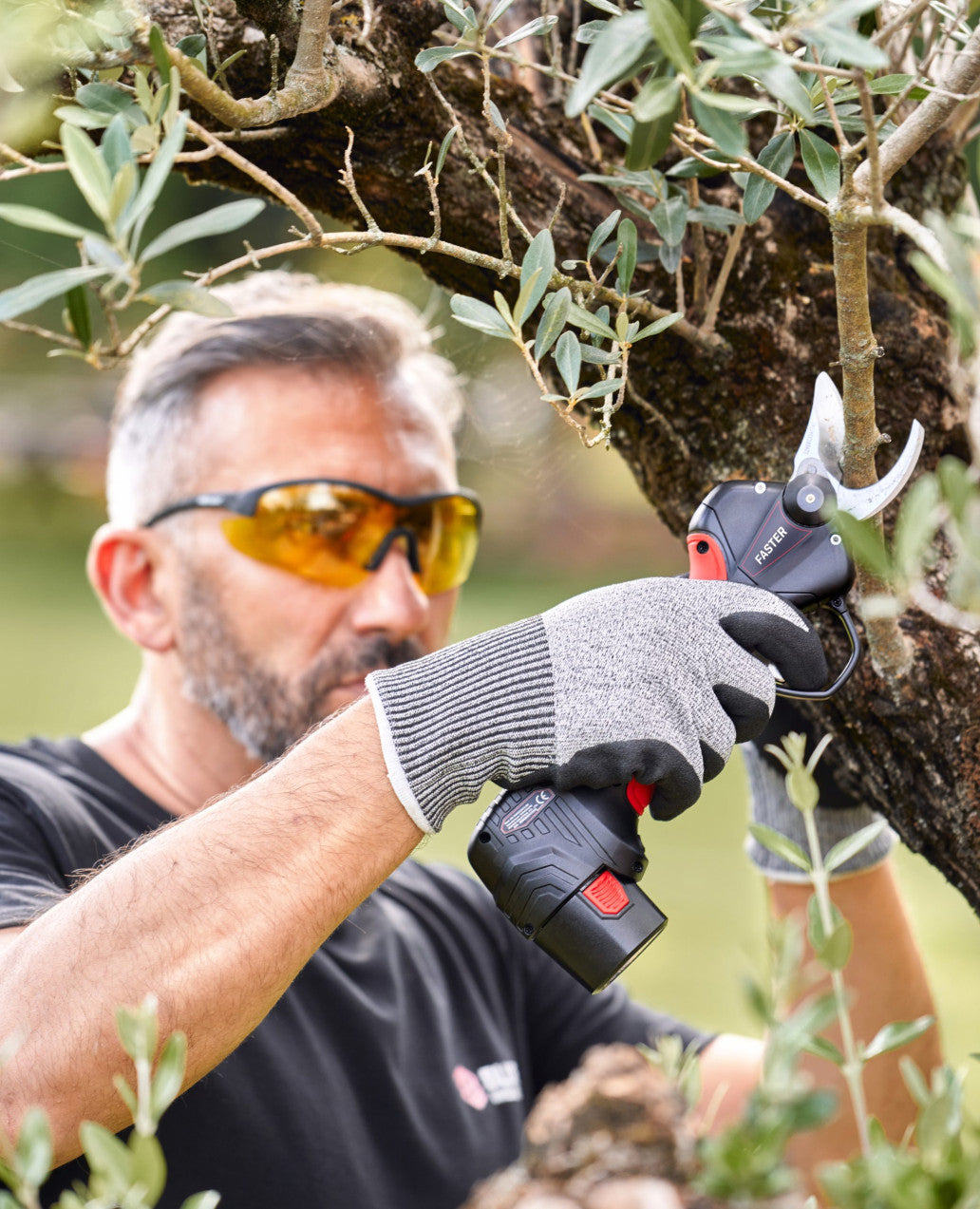 Forbice Blue Bird PS23-25 Faster