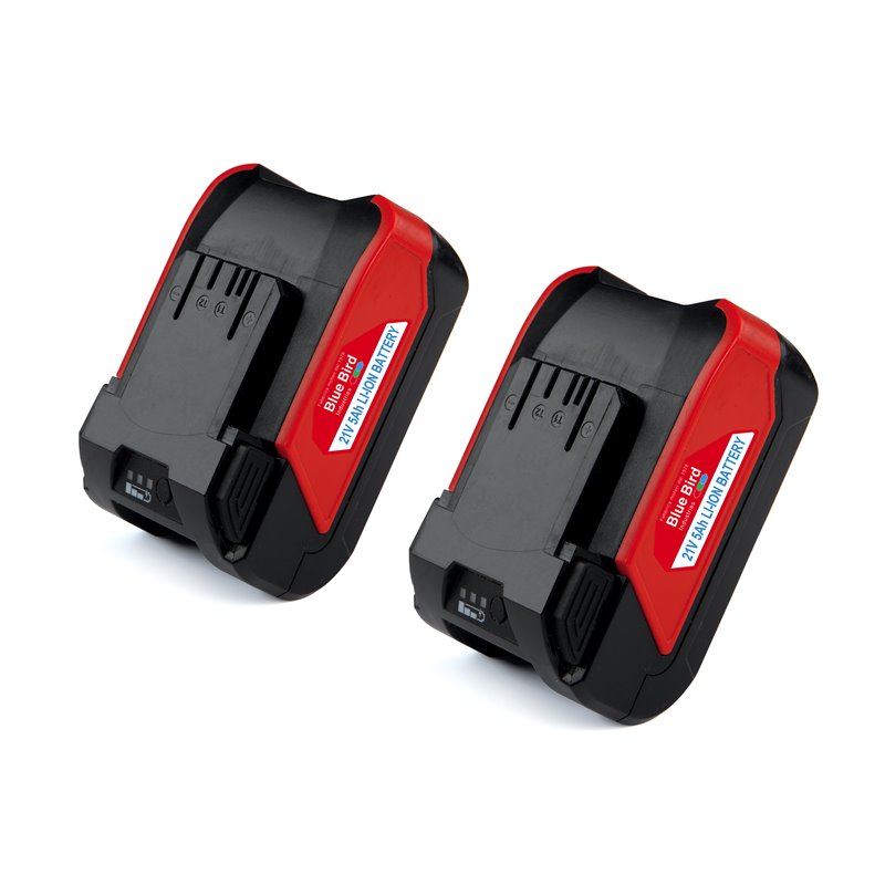 Tronçonneuse Blue Bird THCS 22-07