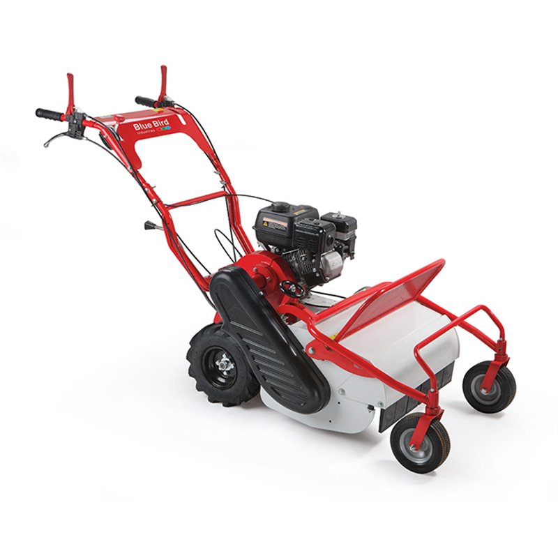 Trinciasarmenti Blue Bird FM600